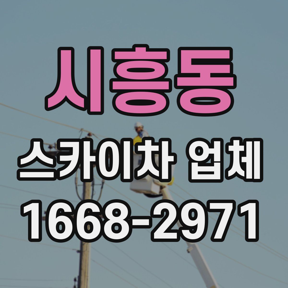 시흥동 스카이차 업체
