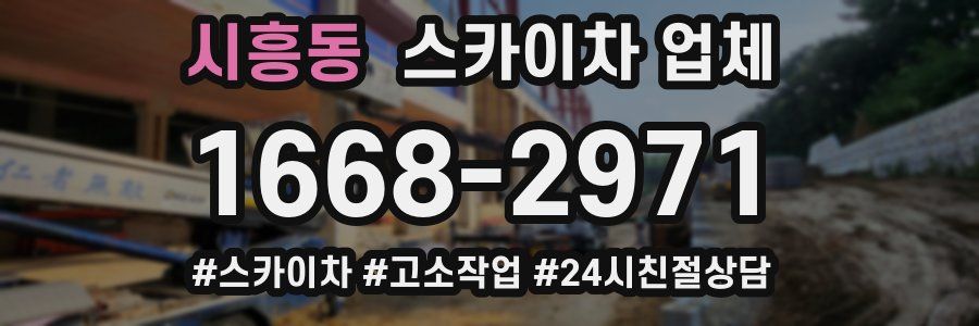시흥동 스카이차 업체