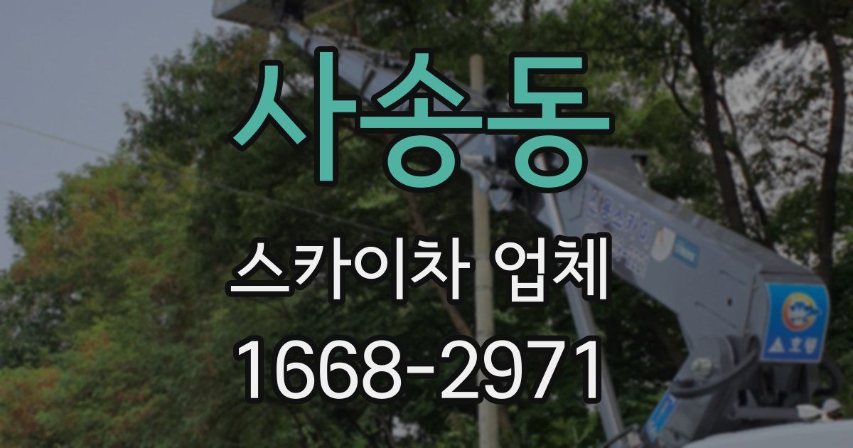 사송동 스카이차 업체