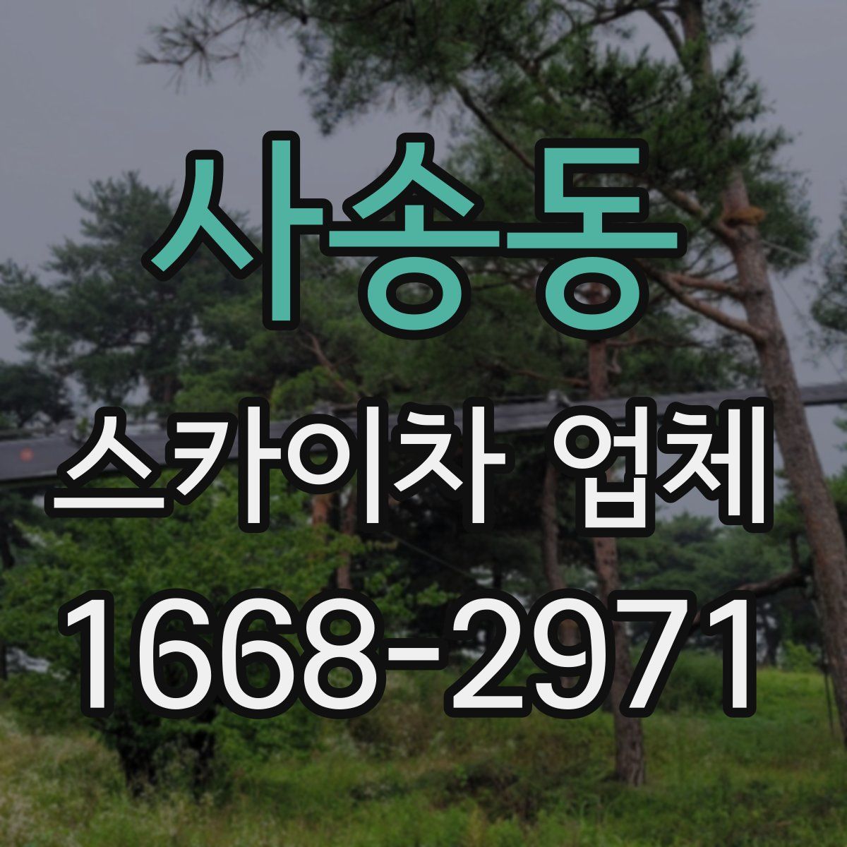 사송동 스카이차 업체