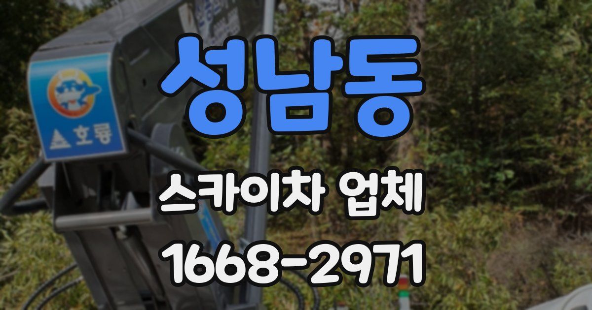 성남동 스카이차 업체