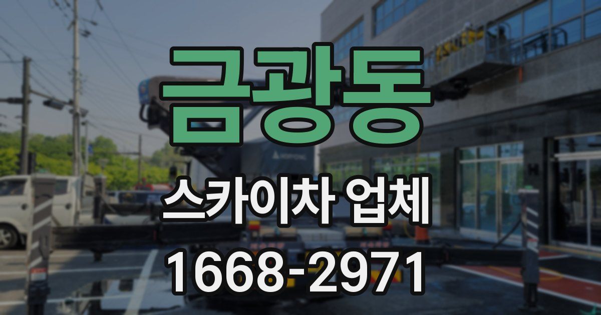 금광동 스카이차 업체