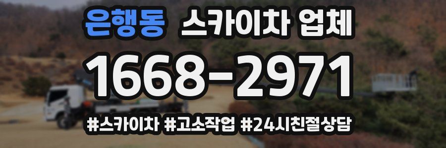 은행동 스카이차 업체