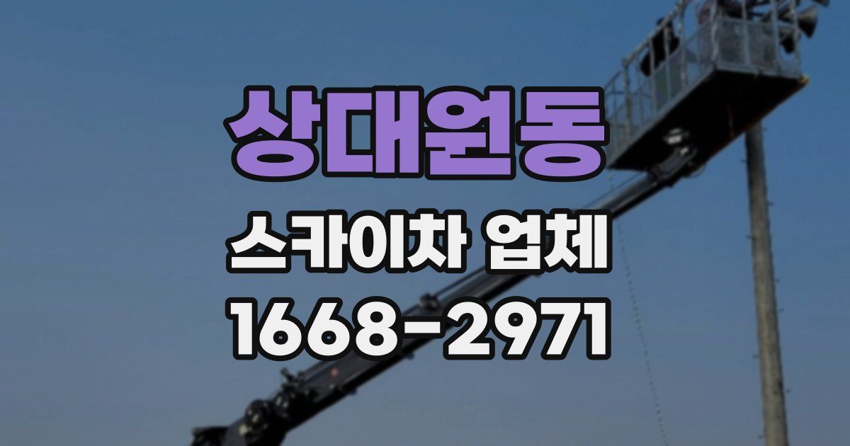 상대원동 스카이차 업체