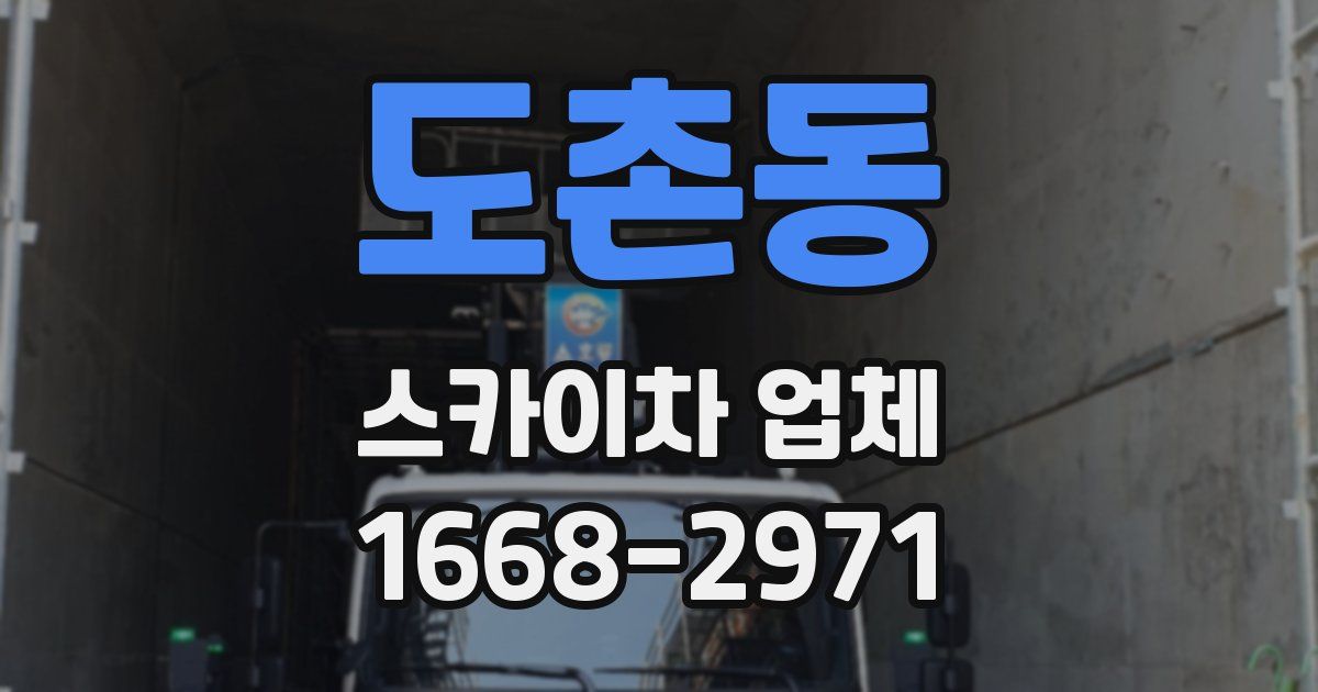 도촌동 스카이차 업체