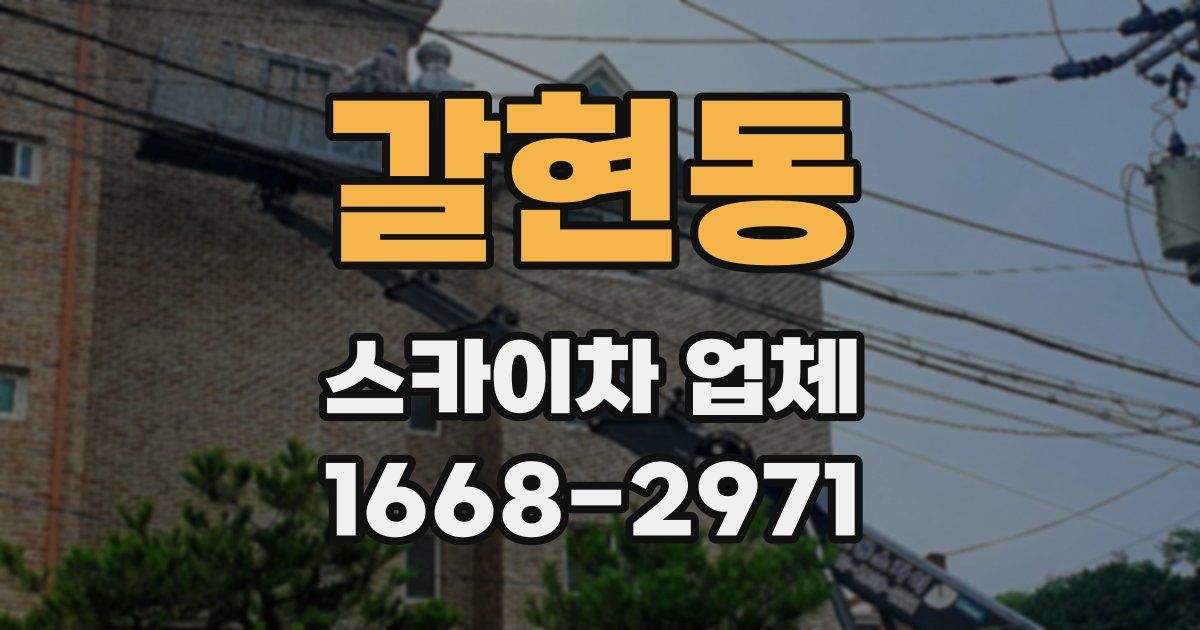 갈현동 스카이차 업체
