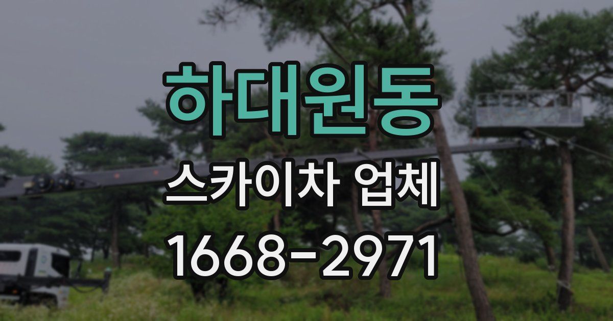 하대원동 스카이차 업체