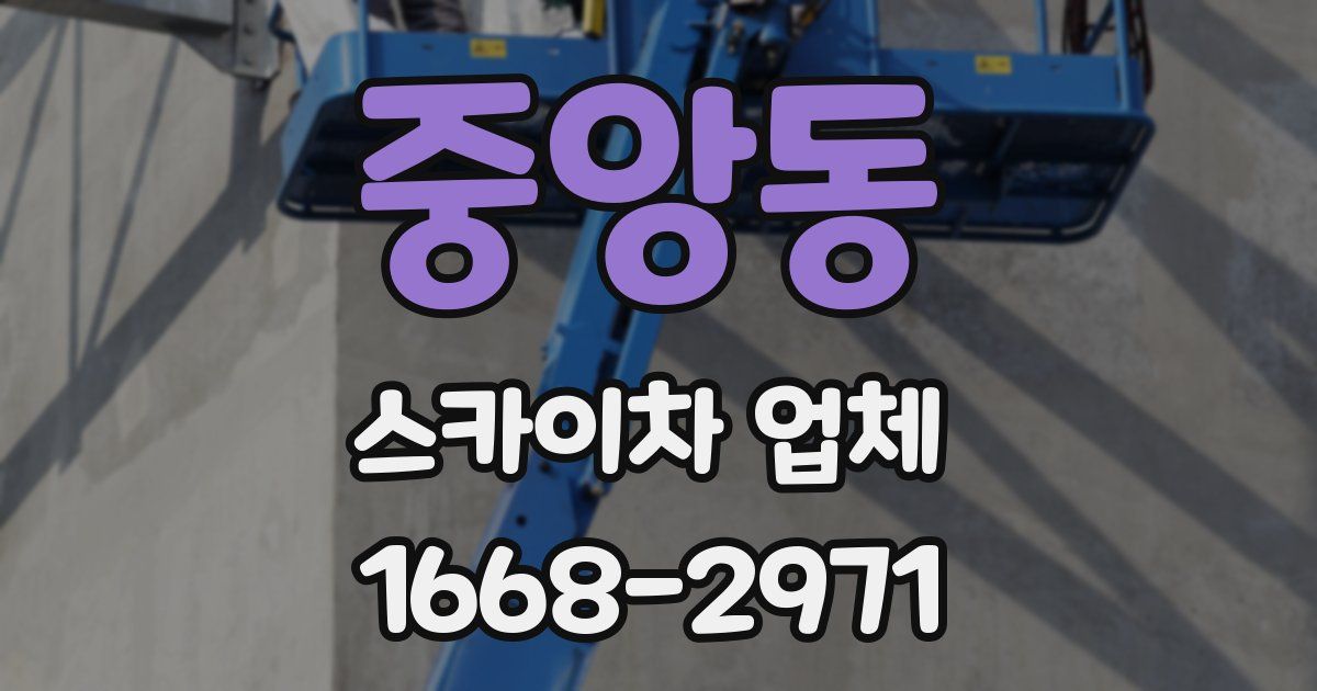 중앙동 스카이차 업체