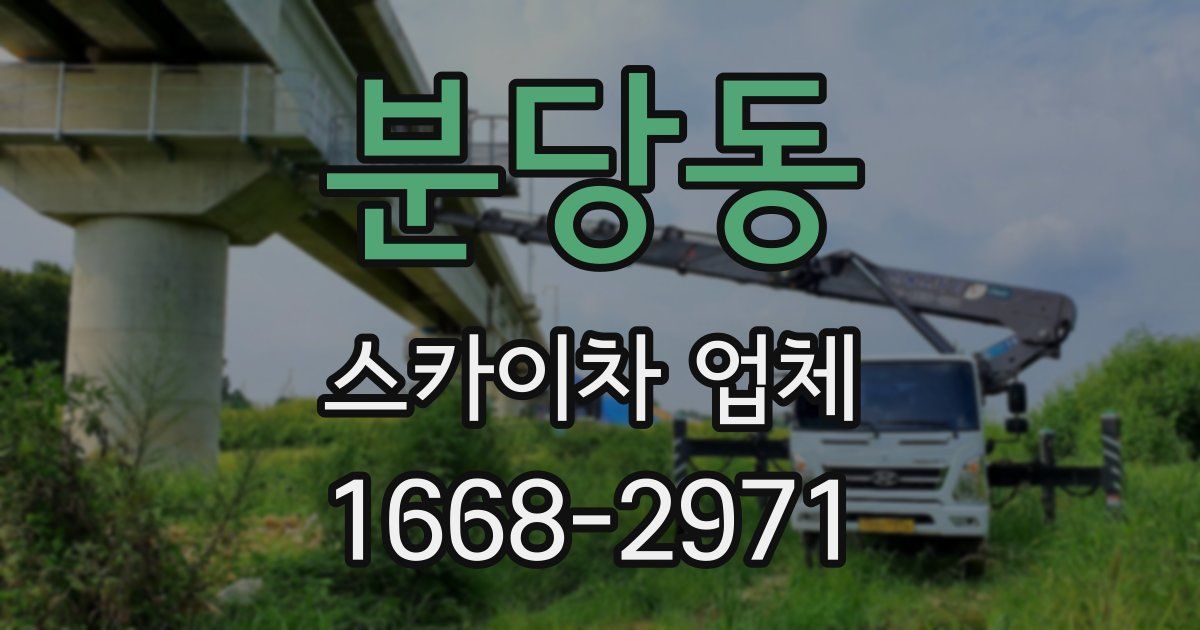 분당동 스카이차 업체