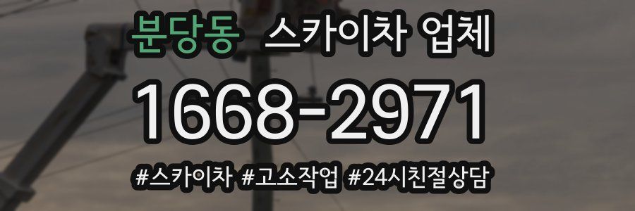 분당동 스카이차 업체