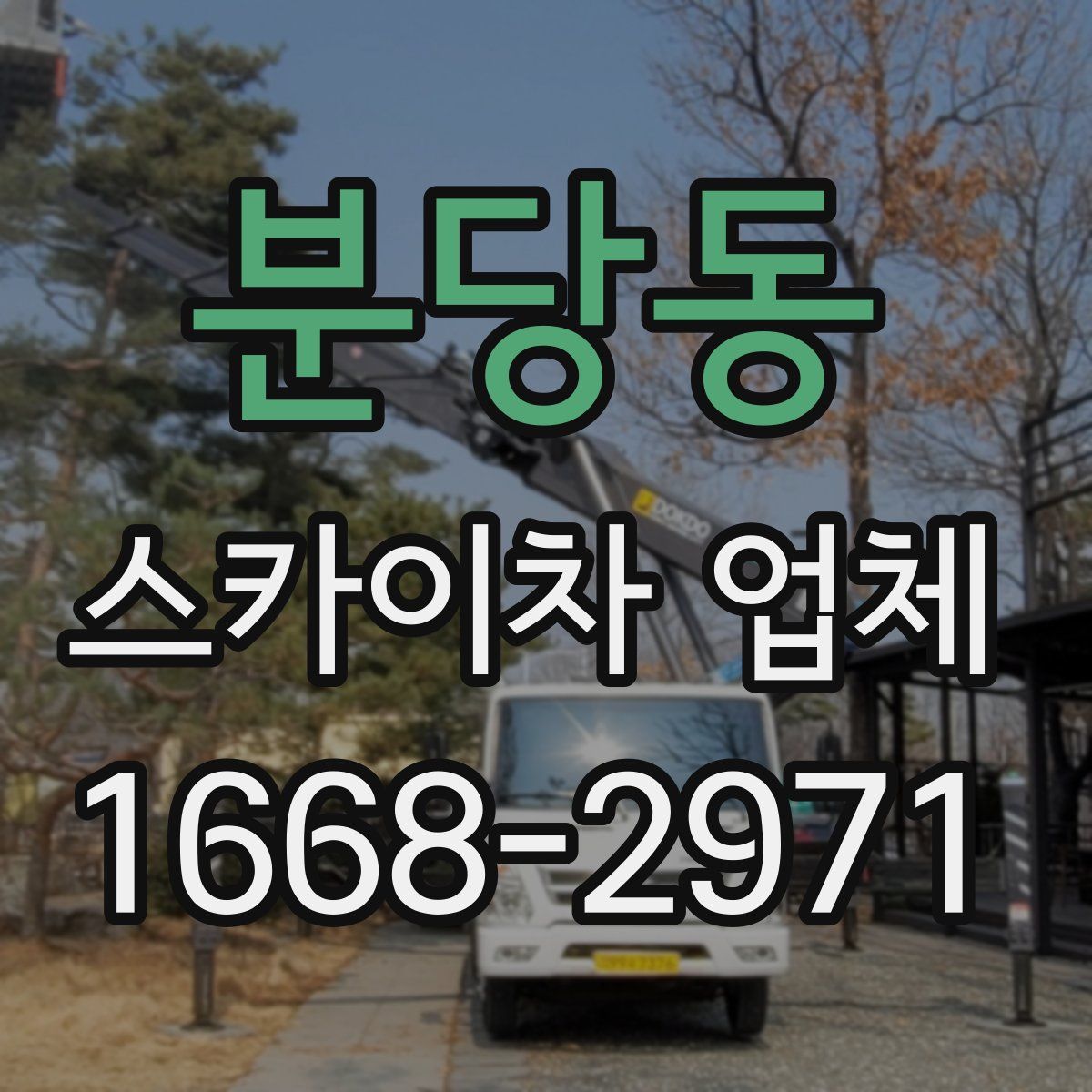 분당동 스카이차 업체