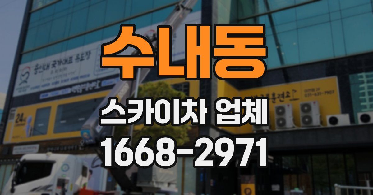 수내동 스카이차 업체