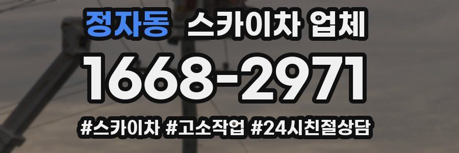 정자동 스카이차 업체