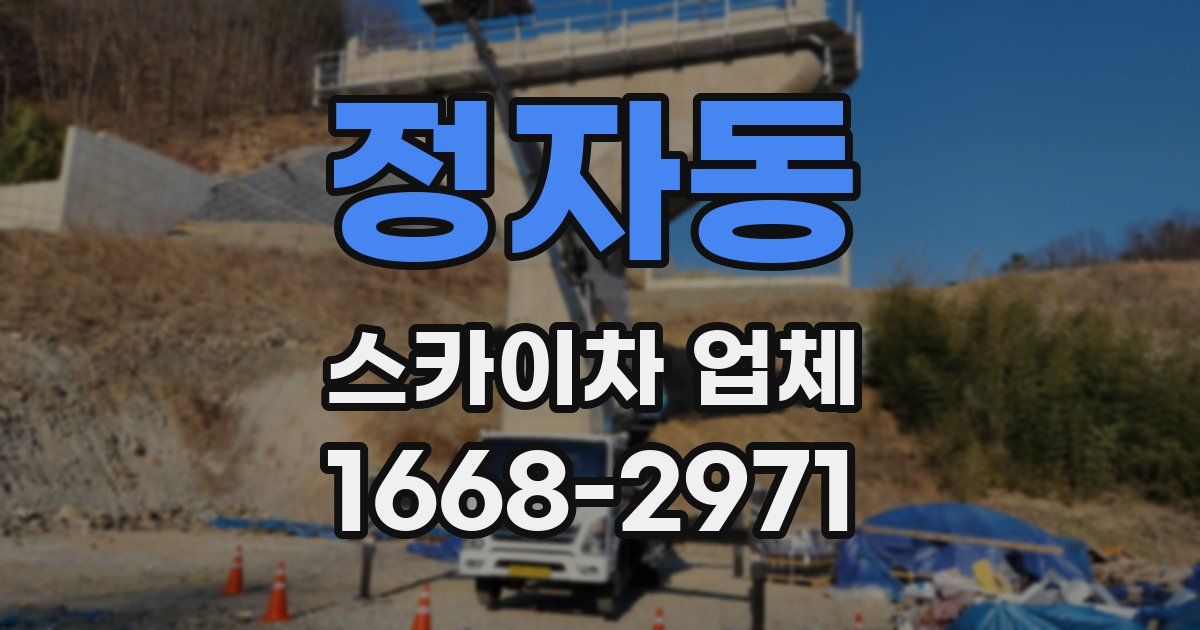 정자동 스카이차 업체