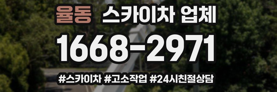 율동 스카이차 업체