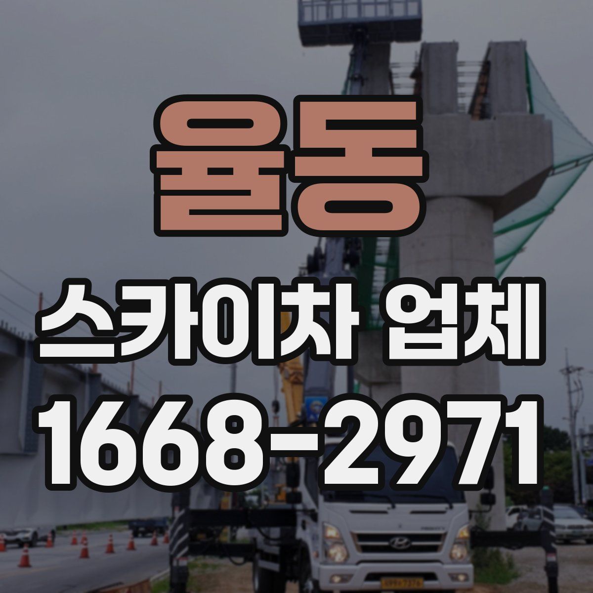 율동 스카이차 업체