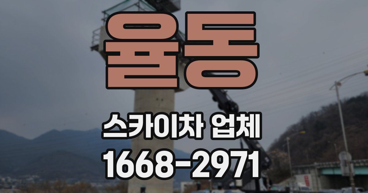 율동 스카이차 업체