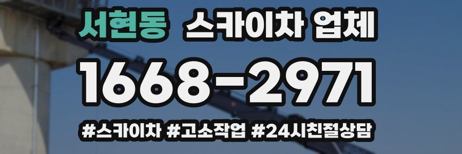 서현동 스카이차 업체