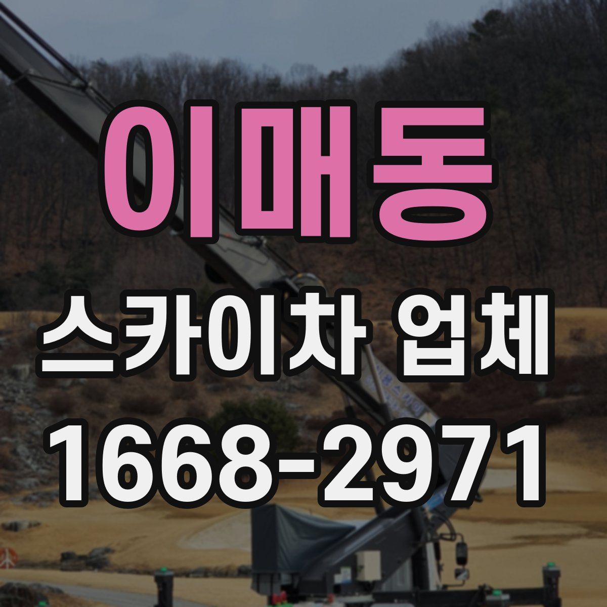 이매동 스카이차 업체