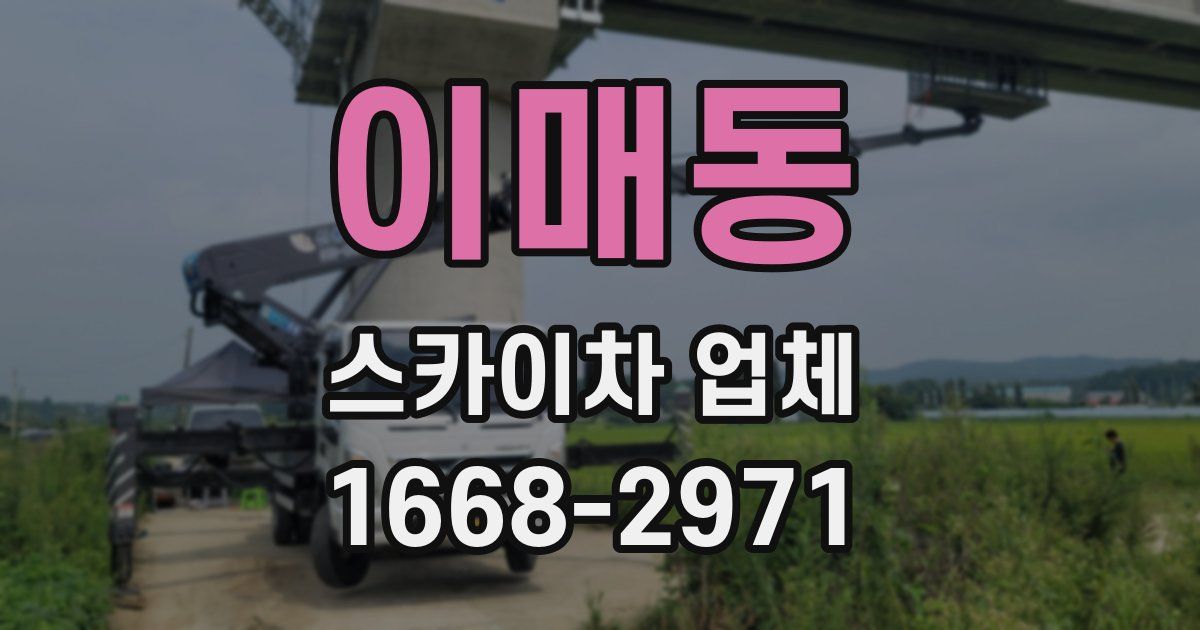 이매동 스카이차 업체