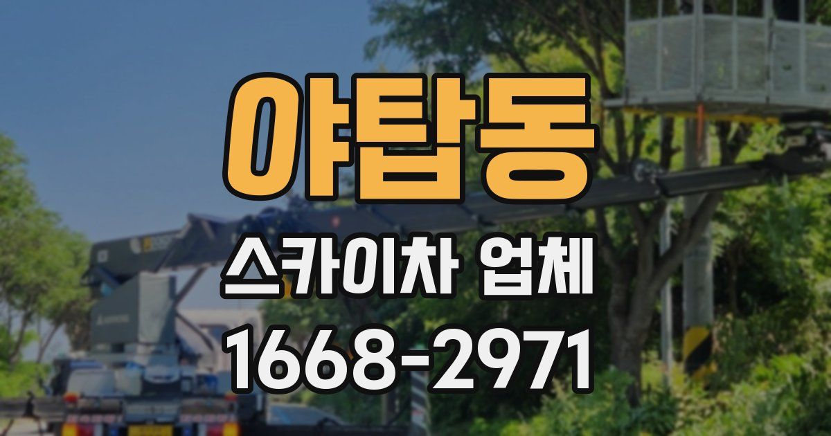 야탑동 스카이차 업체