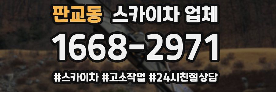 판교동 스카이차 업체