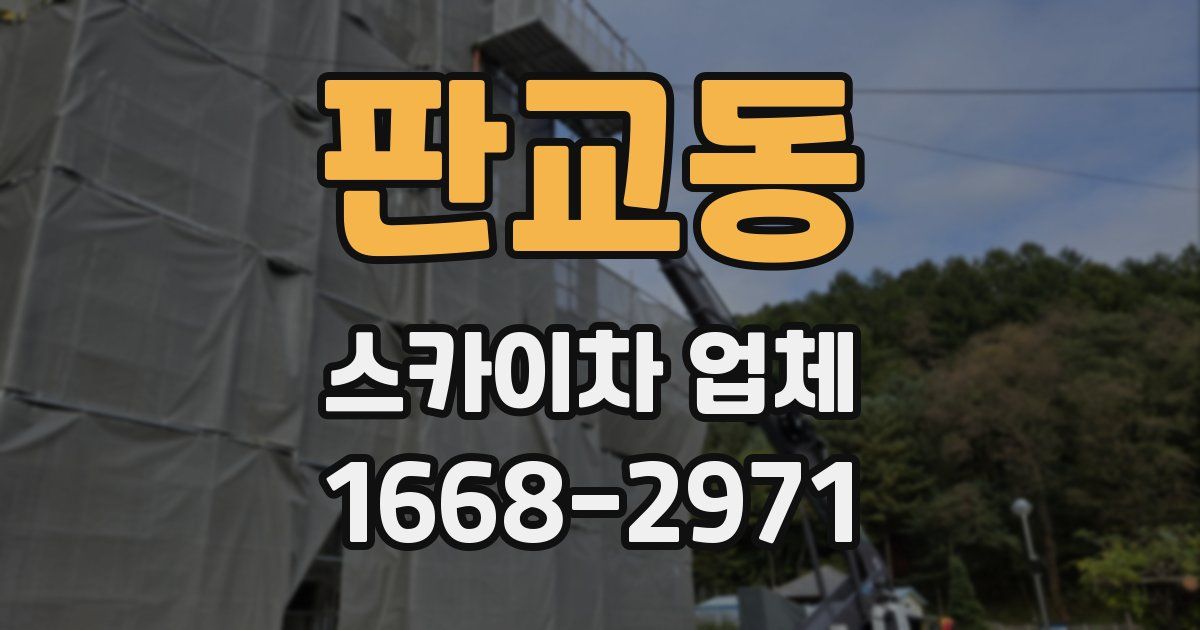 판교동 스카이차 업체