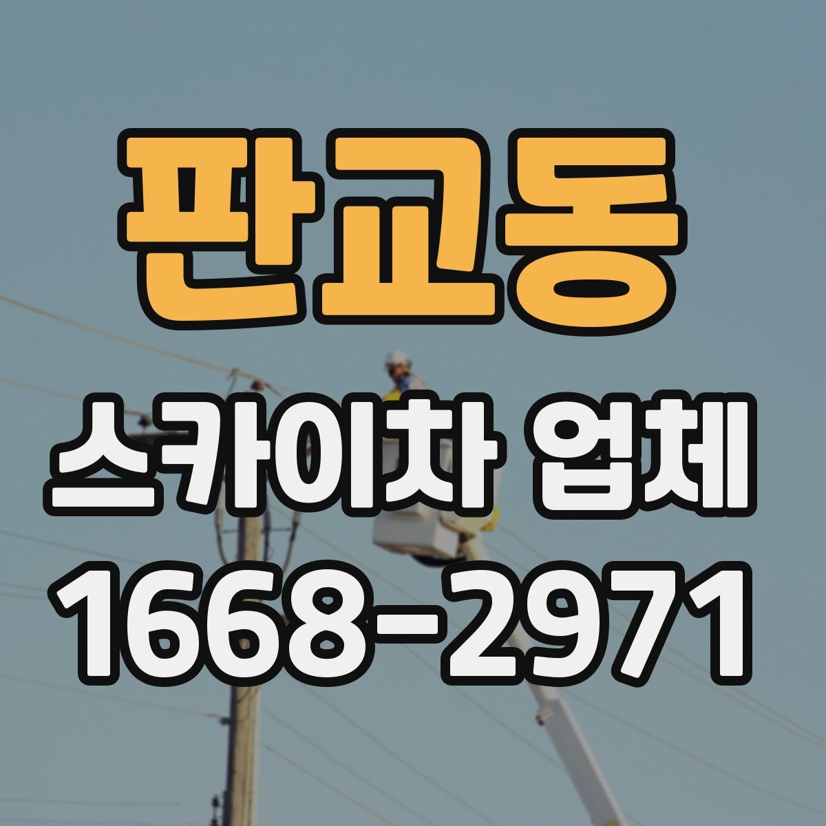 판교동 스카이차 업체