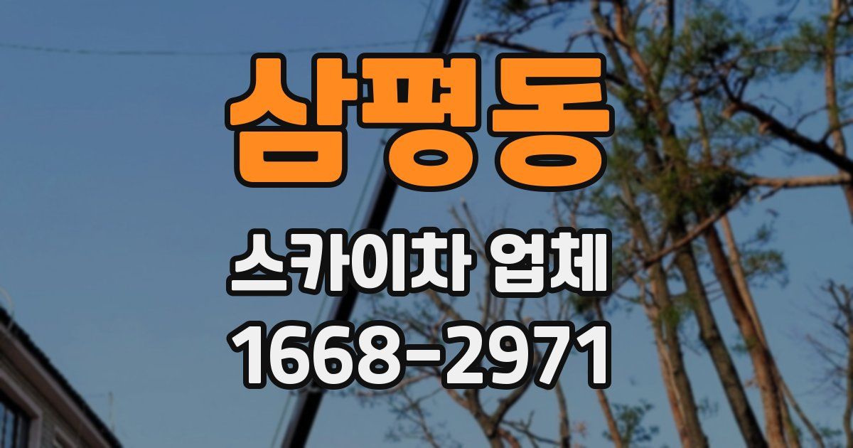 삼평동 스카이차 업체