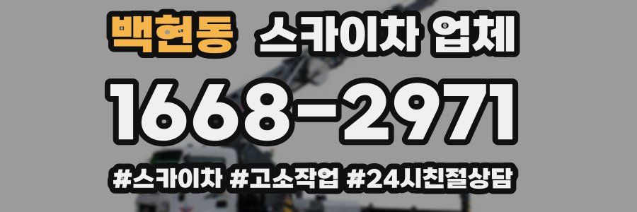 백현동 스카이차 업체