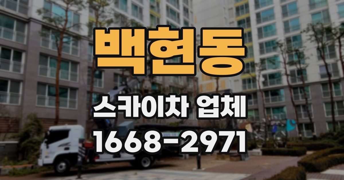 백현동 스카이차 업체
