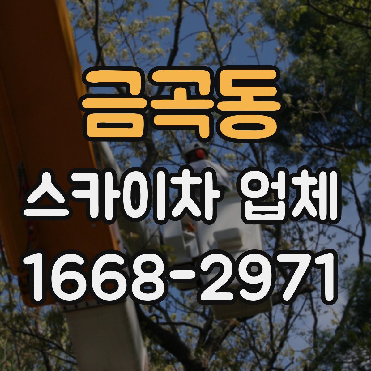 금곡동 스카이차 업체
