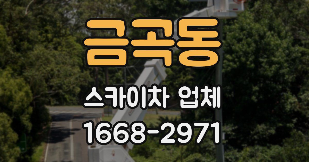 금곡동 스카이차 업체