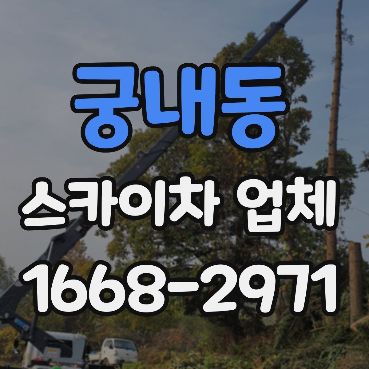 궁내동 스카이차 업체 비교할 때 자주 묻는 질문
