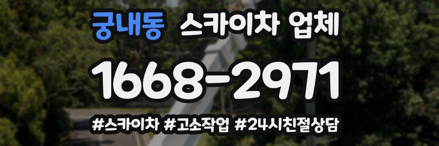 궁내동 스카이차 업체