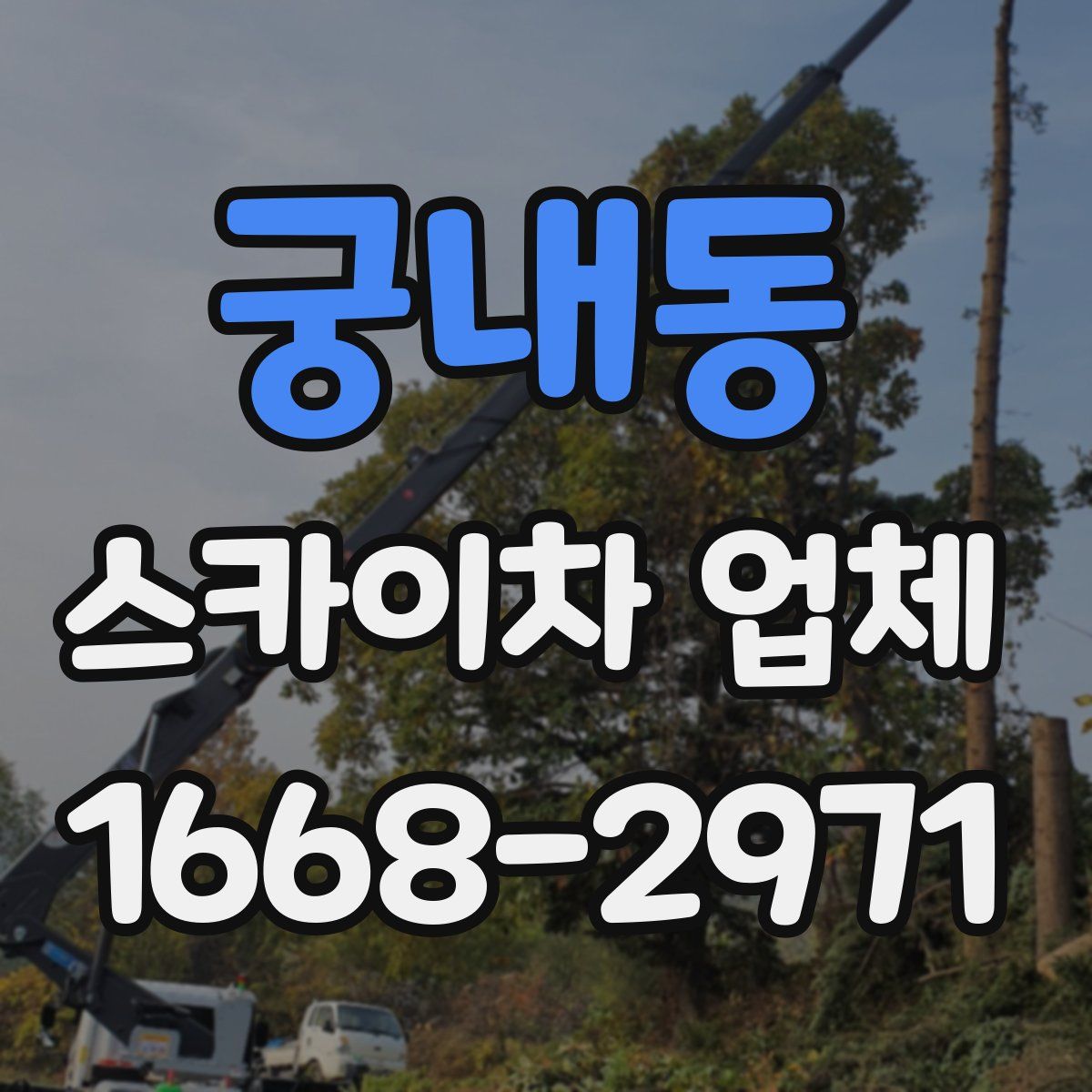 궁내동 스카이차 업체