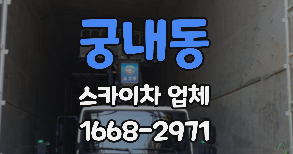 궁내동 스카이차 업체