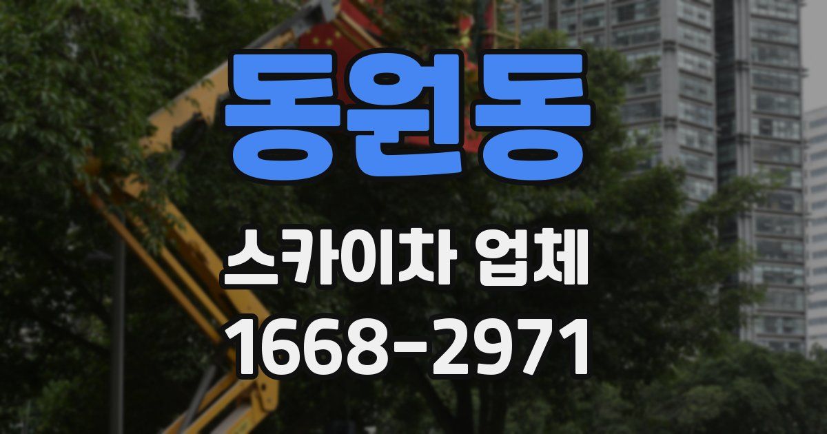 동원동 스카이차 업체