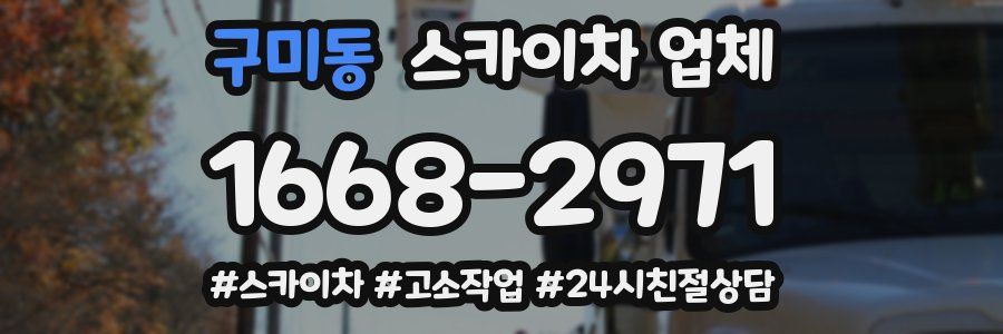 구미동 스카이차 업체