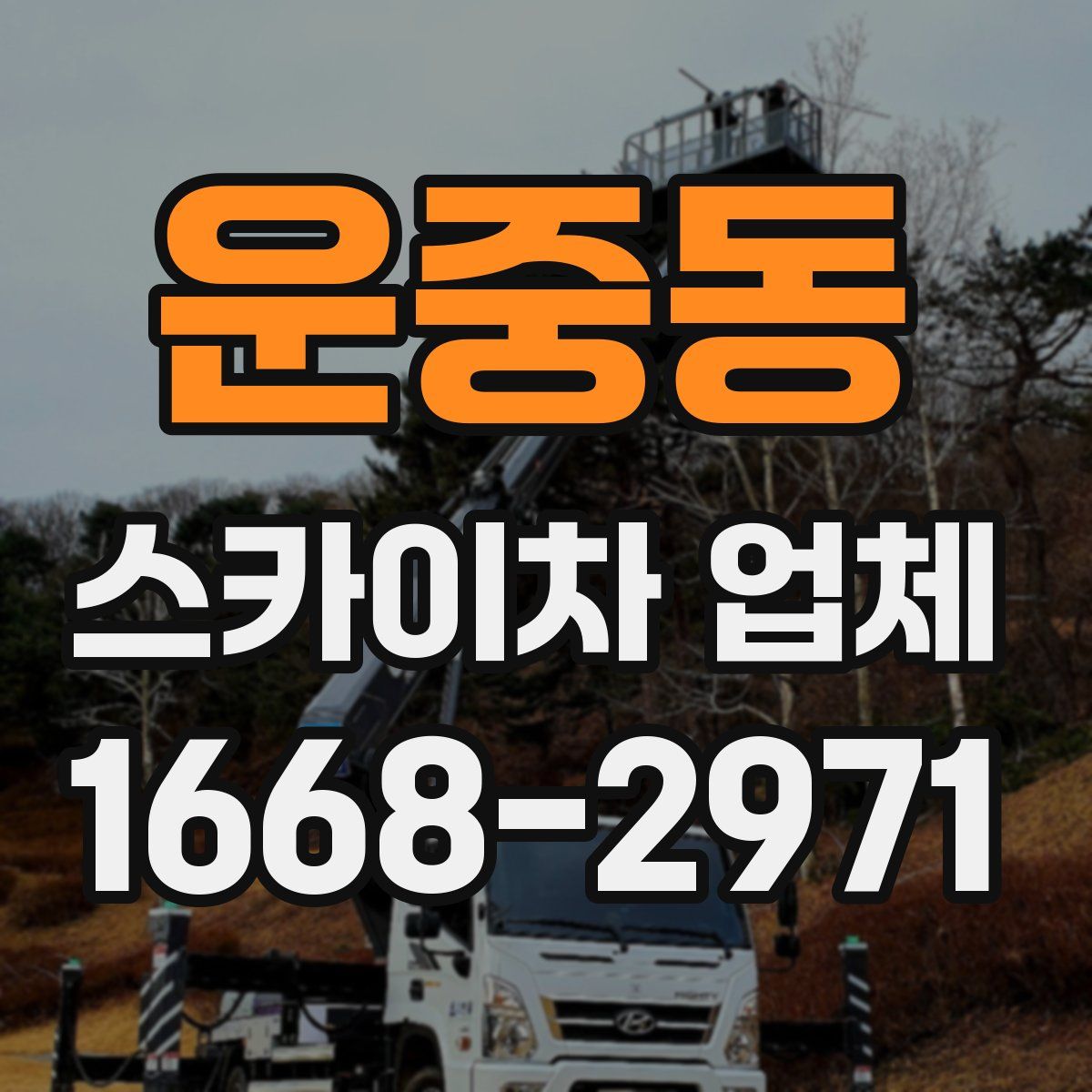 운중동 스카이차 업체