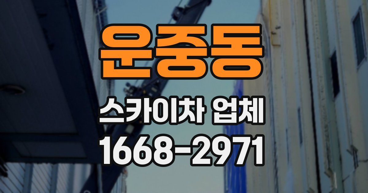 운중동 스카이차 업체