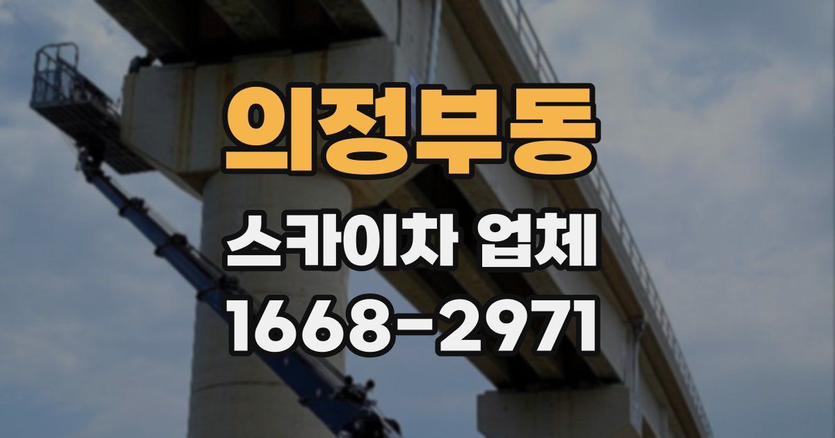 의정부동 스카이차 업체