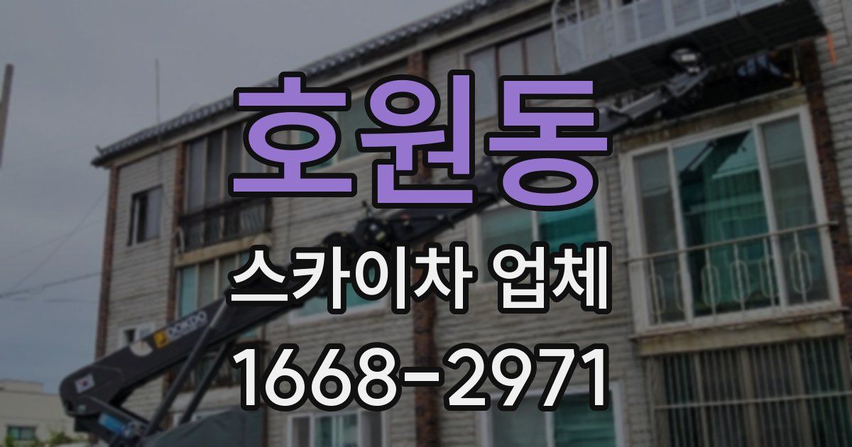 호원동 스카이차 업체