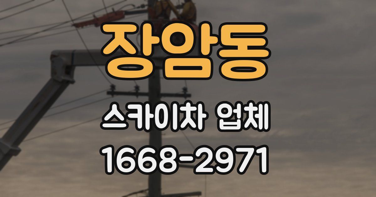 장암동 스카이차 업체