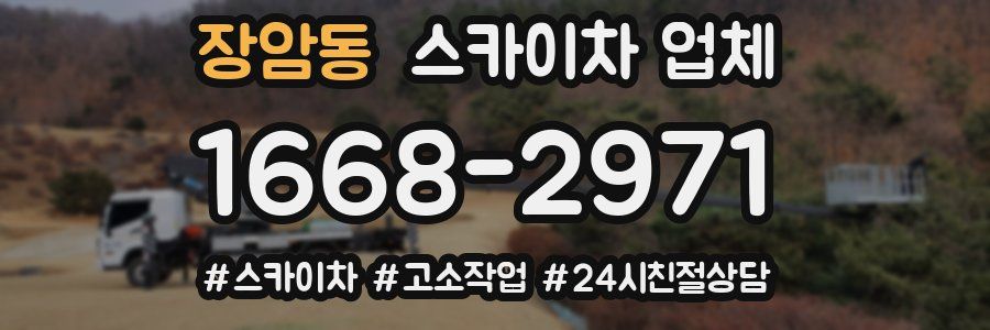 장암동 스카이차 업체