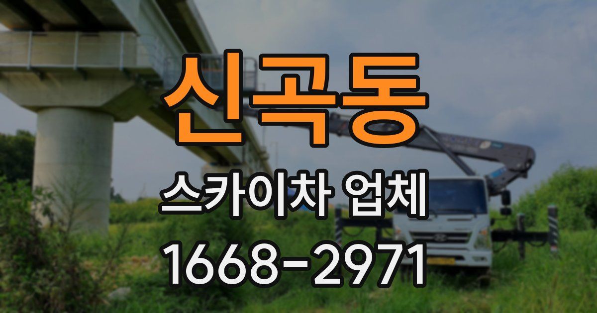 신곡동 스카이차 업체