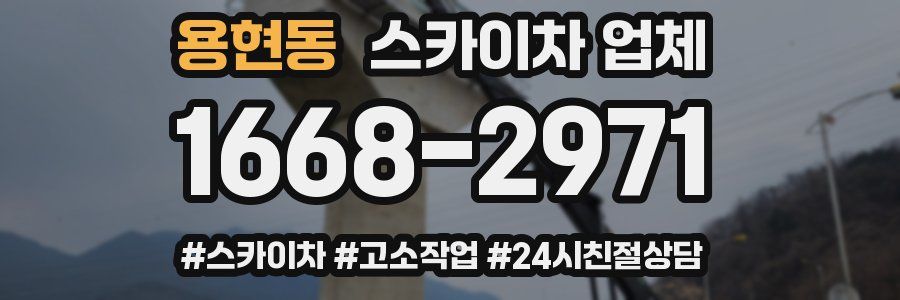 용현동 스카이차 업체
