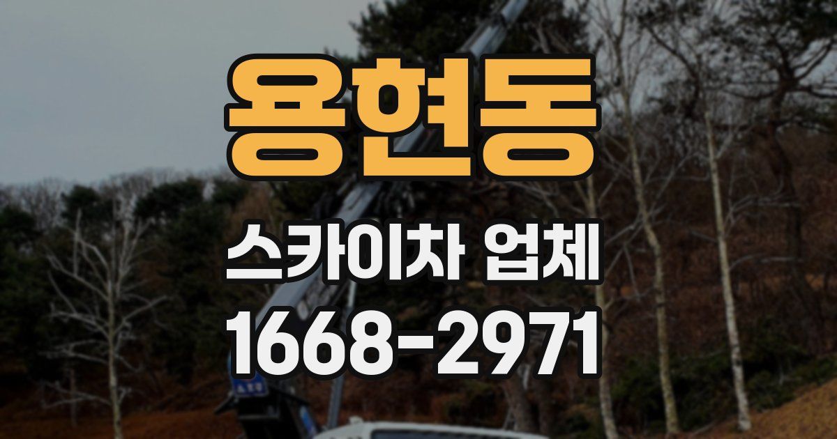 용현동 스카이차 업체