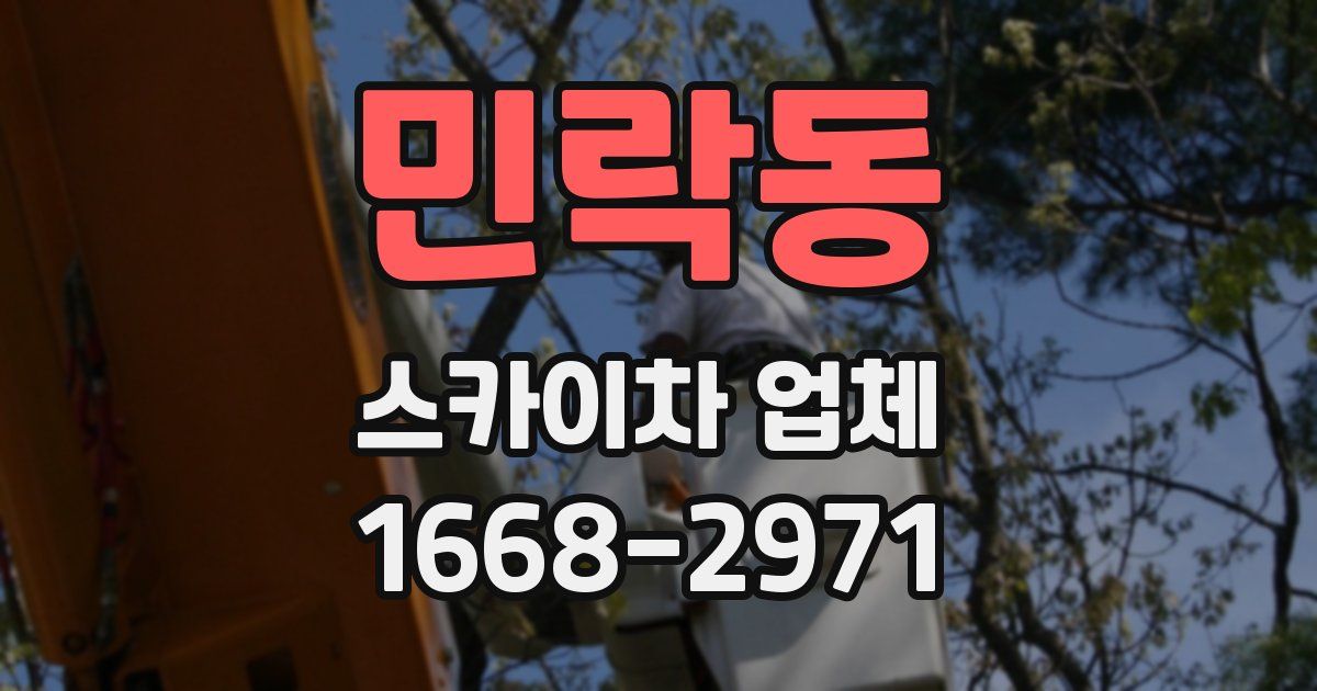 민락동 스카이차 업체