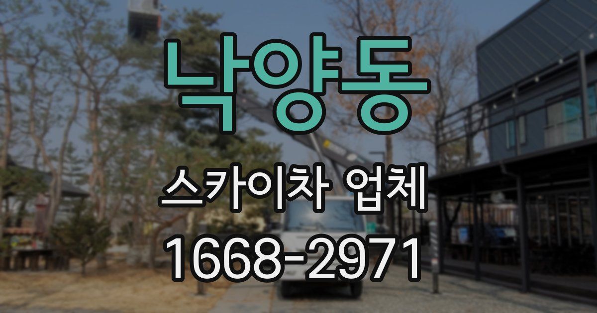 낙양동 스카이차 업체